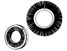 web_special_brush_forms_discs.png
